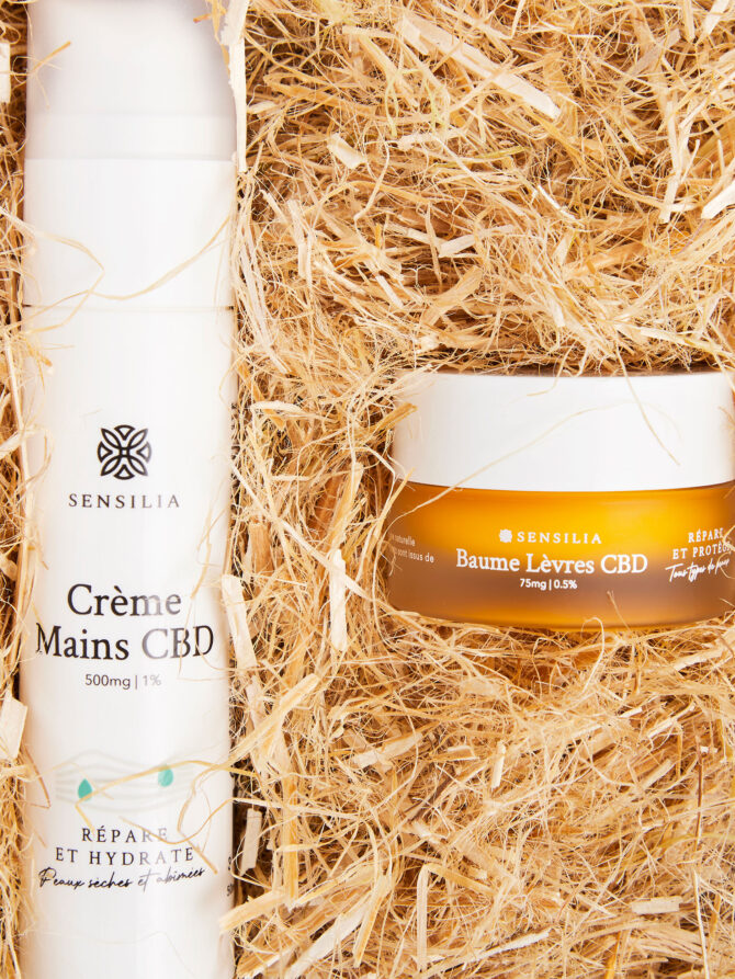 Coffret Réparation CBD