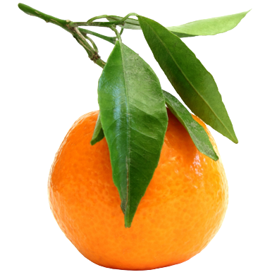 Ätherisches Clementinenöl