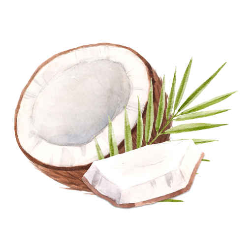 Huile végétale de noix de coco