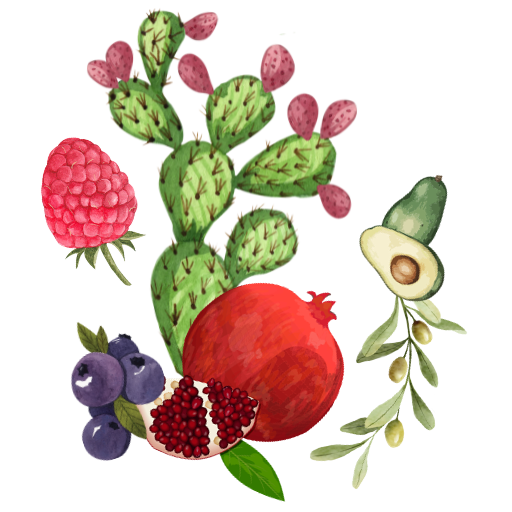 HUILES Végétales de figue de Barbarie, de grenade, de framboise, d'olive, de raisin et d'avocat