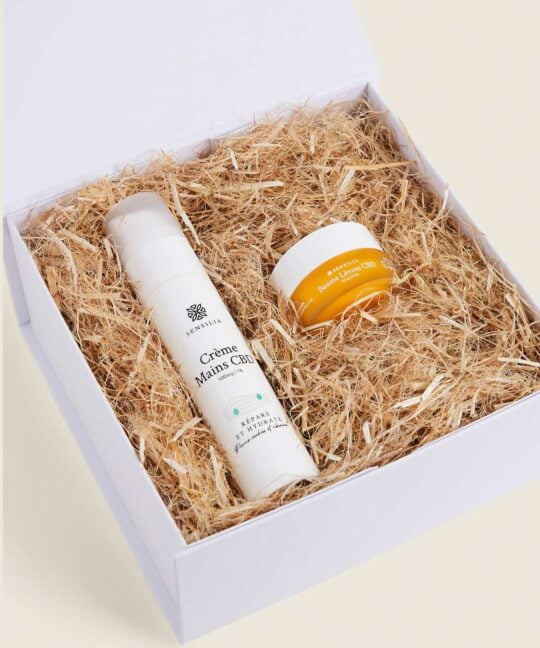 Coffret Réparation CBD