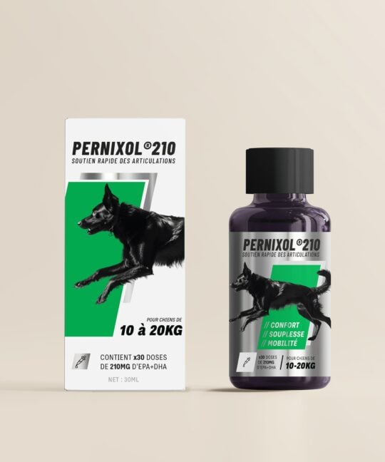 PERNIXOL®210 pour chiens