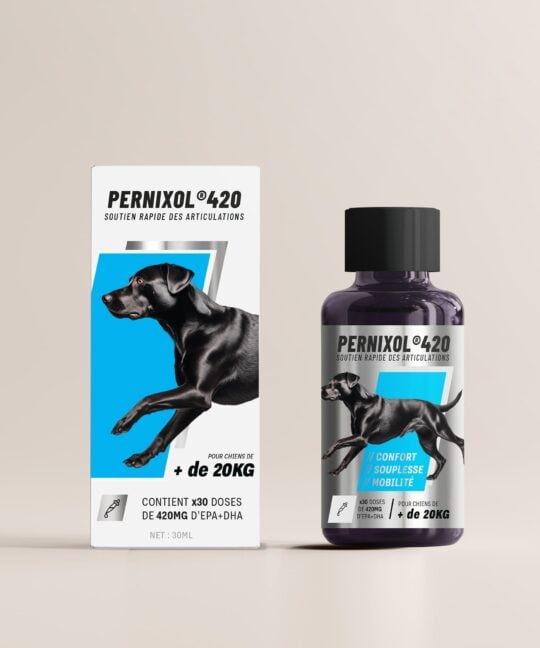 PERNIXOL®420 pour chiens